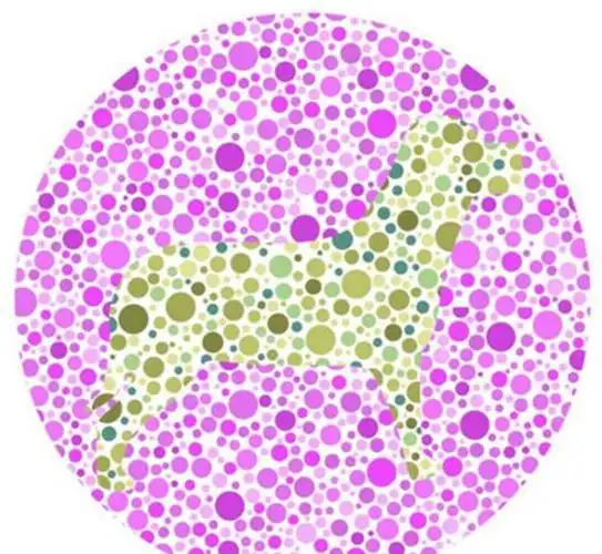 我的看法:其实,在驾考体检项目中,辩色力测试并不是最难的,若是学员