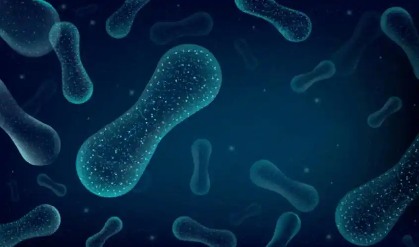 你焦虑的秘密,也许藏在你的肠道菌群里_微生物