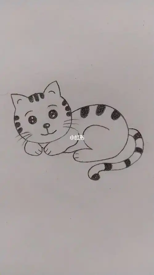 简笔画这可爱的小动物小花猫你们喜欢吗