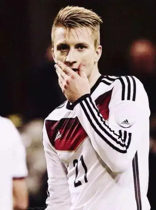 国家队的罗伊斯了解一下