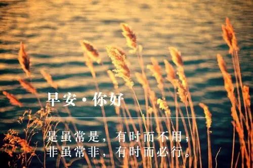 早安你好图片带字早安心语最美图片