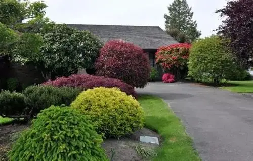 极品庭院花园景观,惊爆你的眼球!