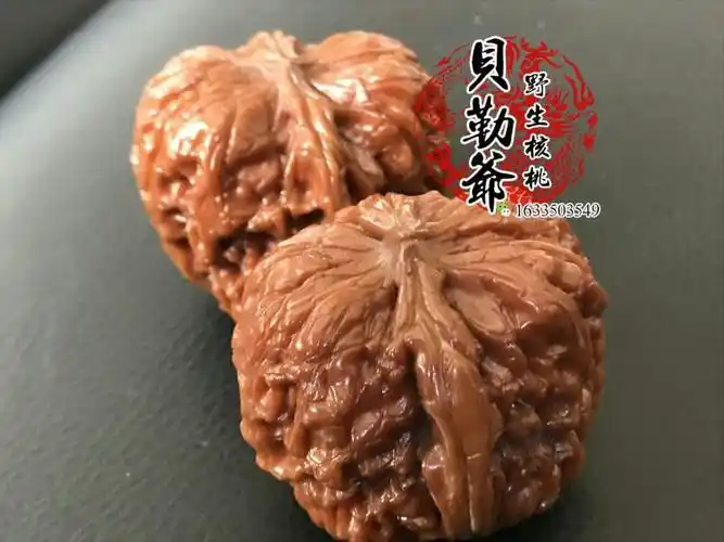 津门贝勒爷野生文玩核桃,全国核友一年一度选美比赛