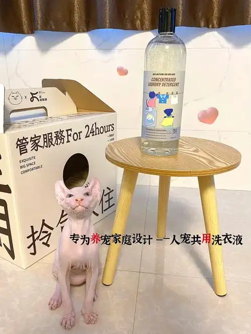 养宠家庭一定要备的定制洗衣液