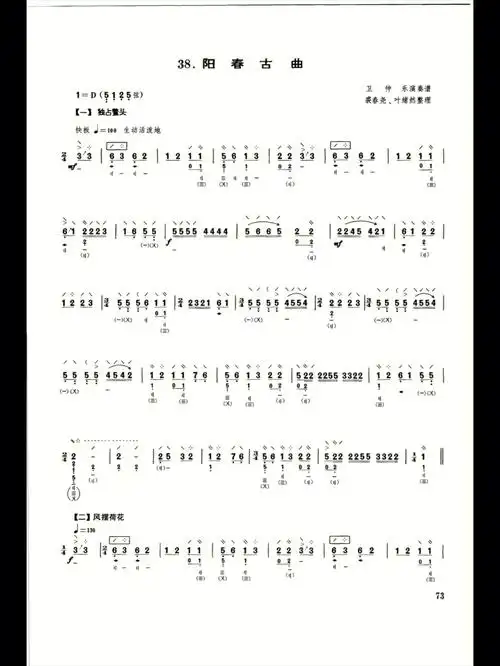 琵琶曲谱分享day41阳春古曲