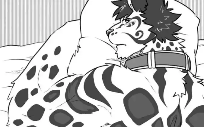 家有大猫我和云豹上了床第一期