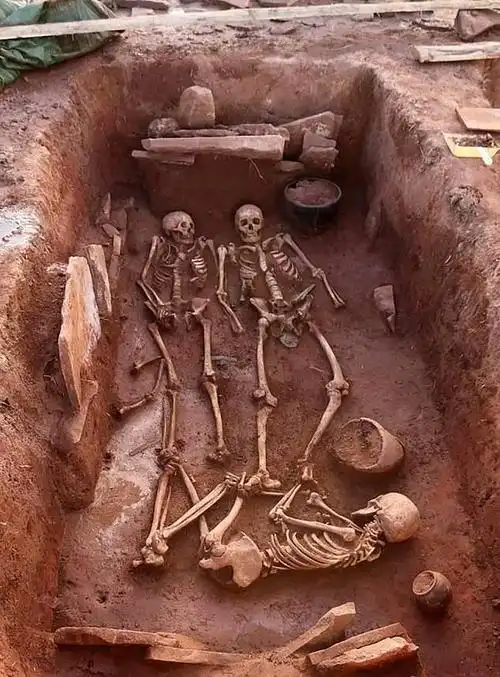 西伯利亚挖出"两女一男"墓,女人年龄差距30岁,分横竖摆放_手机搜狐网