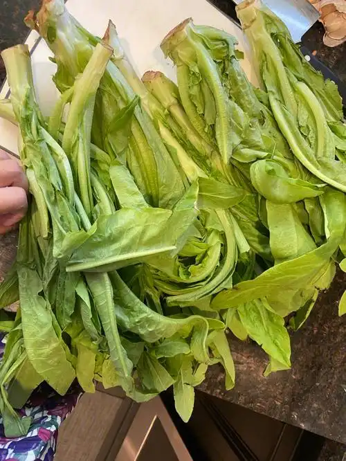 油麦菜跟莴笋叶傻傻分不清楚090909