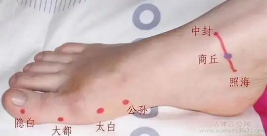 大都穴在脚掌前半部,大脚趾那一侧.对比着经络图,您很容易就能找到.