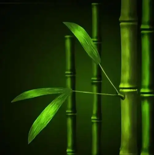 姓氏解竹子头像(姓名中有竹的人可以用的精致头像)(29)