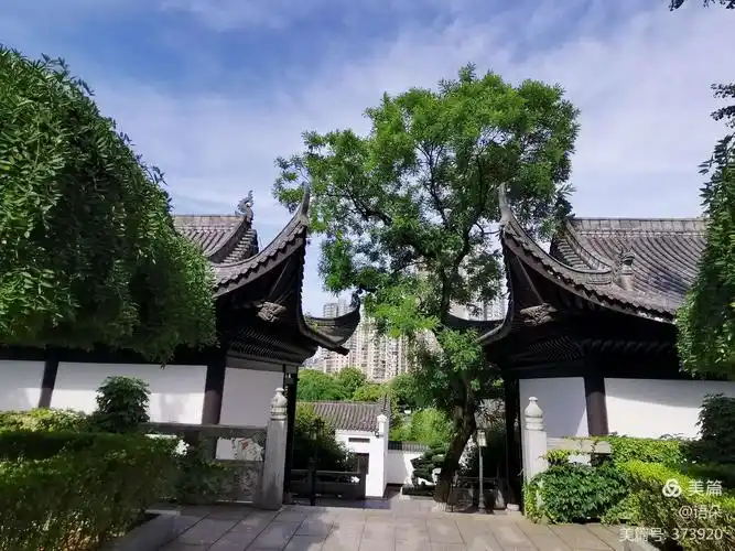 我眼里的衡阳市石鼓公园风景