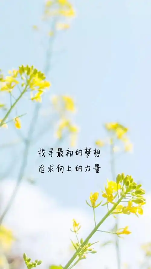 清新治愈系励志文字语录