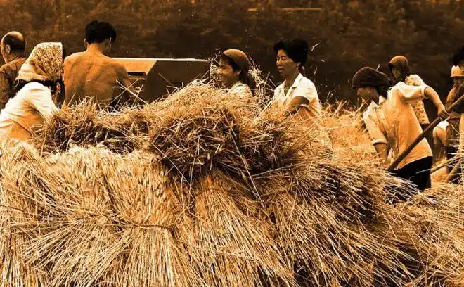 老照片上世纪80年代的农村场景这样的场景你熟悉吗