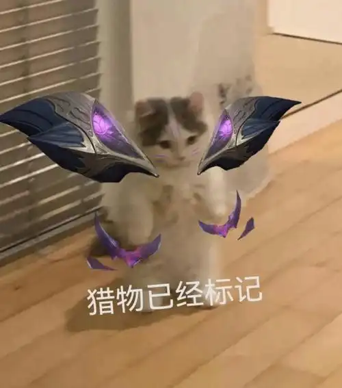 你都有哪些英雄联盟魔法猫咪的表情包