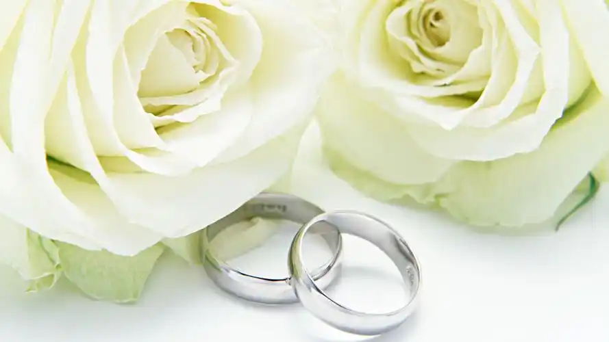 情侣恋人告白小清新桌面壁纸