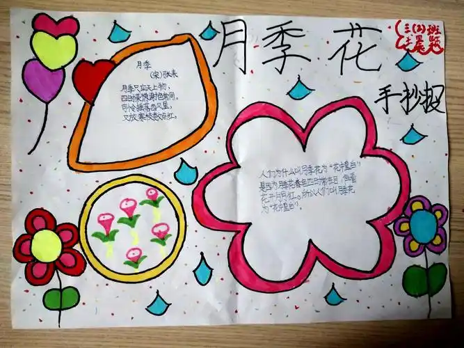 南阳市第十五小学东校区三二班——月季花手抄报