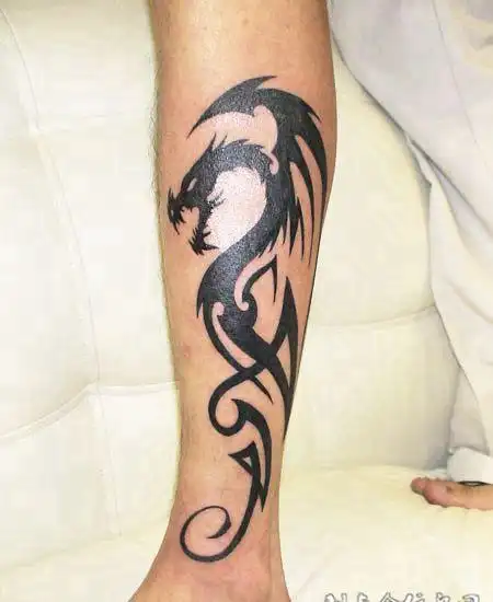 小腿翼龙图腾纹身