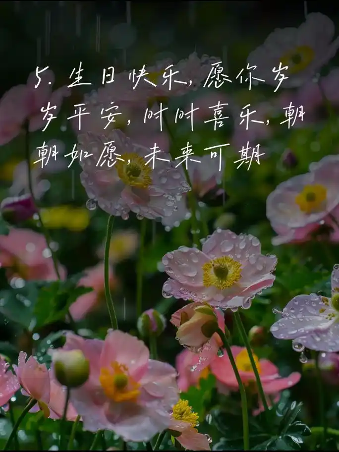 朋友生日快乐,温馨祝福语来袭