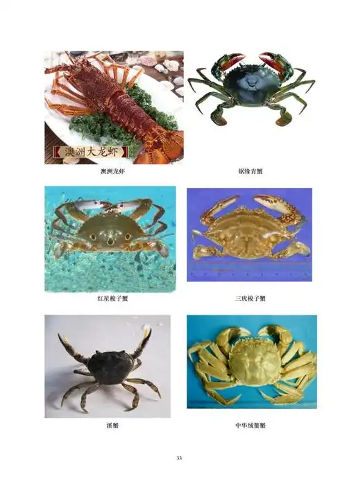 收藏!常见水生生物彩色图谱