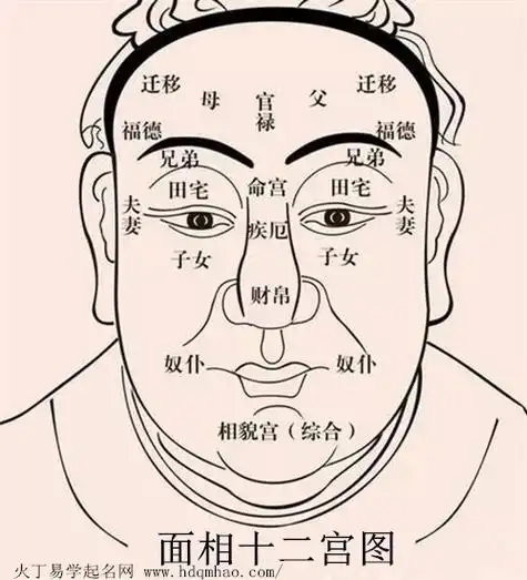 面相十二宫详解疾厄宫
