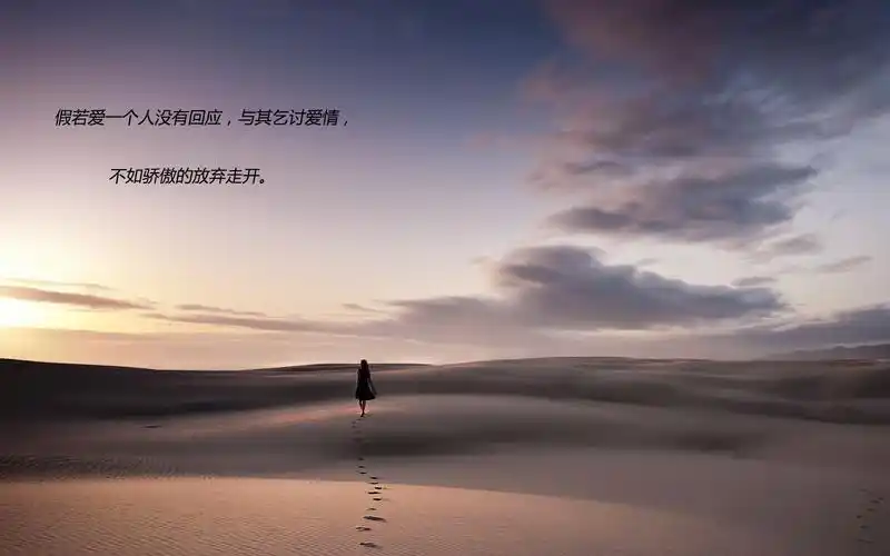 准备放弃一个人的悲伤无力