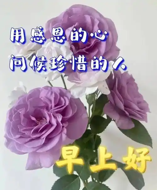 免打字的夏日清晨早上好问候祝福图片带字温馨_是一种_开心_好运