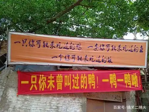 各种奇葩标语,让人捧腹大笑!