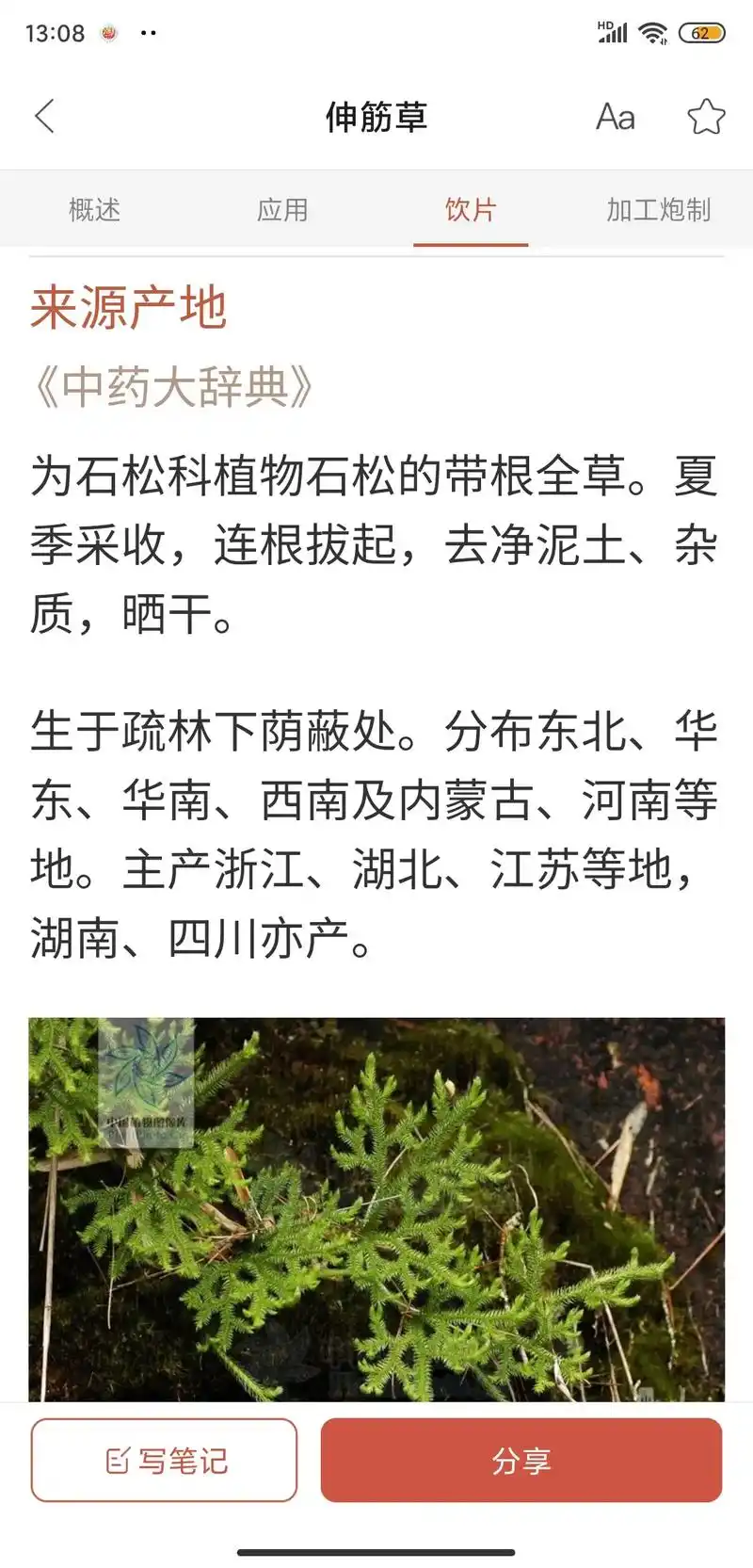 伸筋草#中药 - 抖音