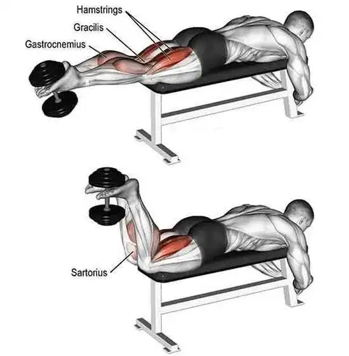 肌找不到发力感没办法主导动作,你就应该在练腿的时候多注重臀部训练