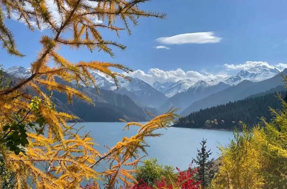 你把每天的日常琐碎,说成了所谓正事 67你把每天的努力生活,说成了