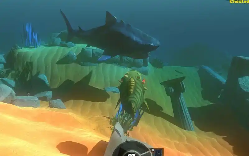 海底大猎杀17级的小食人鱼打赢了巨齿鲨