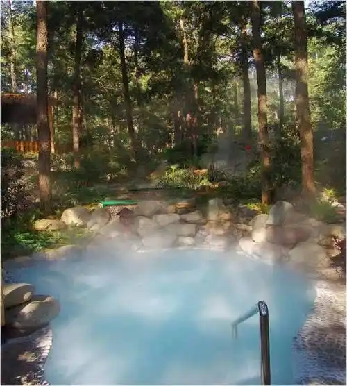 安宁温泉:山水胜境,康养休闲_森林_龙山_小镇