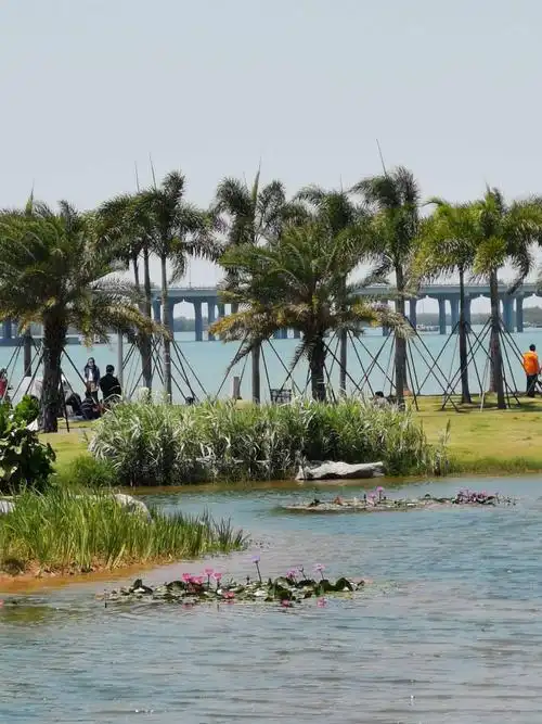 深圳前海自然风光