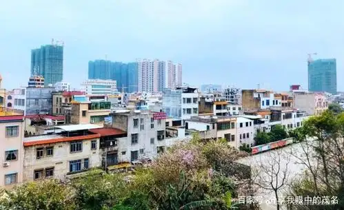 高州:带你走进全国千强镇——石鼓镇