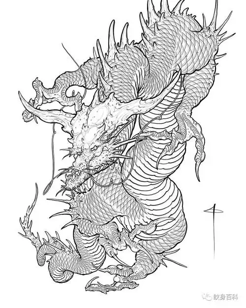 纹身手稿 | 龙线稿_线条