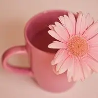 各种漂亮的可爱的最有意境唯美茶杯头像图片大全真的很美