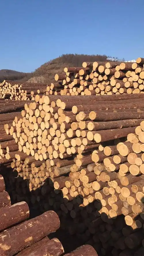 3米4米6米松木桩批发 河道打桩松木桩 杭州上海江苏松木桩批发