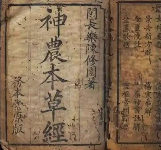 中国第一部完整的药物学著作——东汉时期的《神农本草经》.