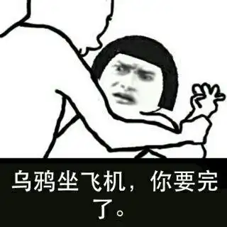 乌鸦坐飞机你要完了
