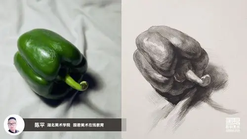 素描静物_单体_青椒2_陈平
