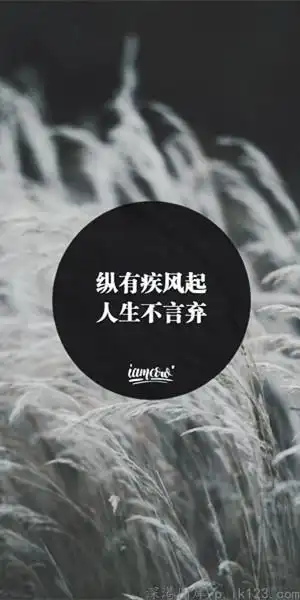 暗色系励志文字皮肤_人生从来不放弃
