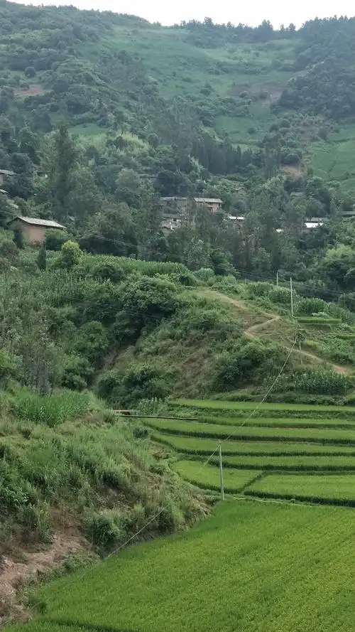 这就是绿水清山,就是我山区农村,是你们城里人的好去出