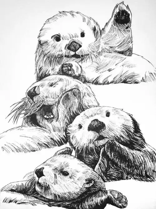 针管笔黑白插画