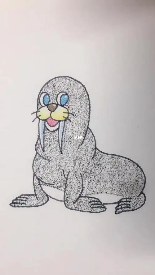 学画海狮简笔画