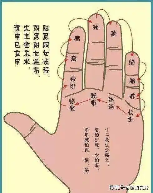 长生十二宫 批断的妙用!_手机搜狐网