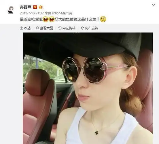 为什么高磊鑫能得到独宠?