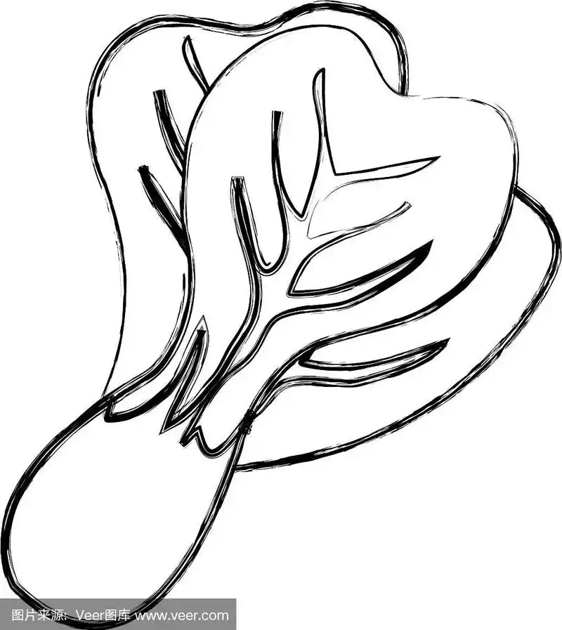 新鲜生菜孤立图标