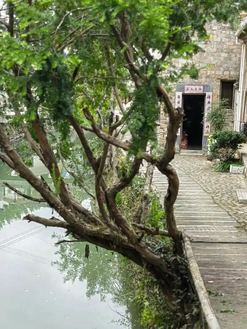 皖南民居#手机摄影  - 抖音