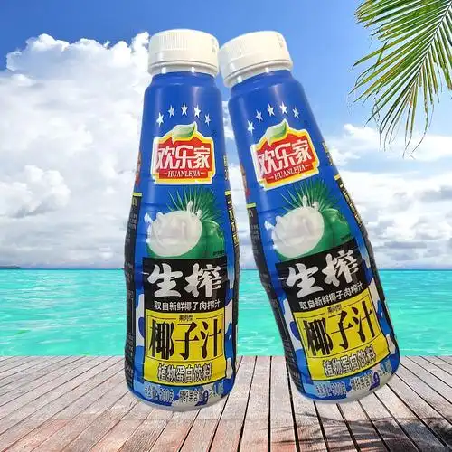 正宗欢乐欢乐家家生椰子汁500ml小瓶植物蛋白饮料植物蛋白饮料