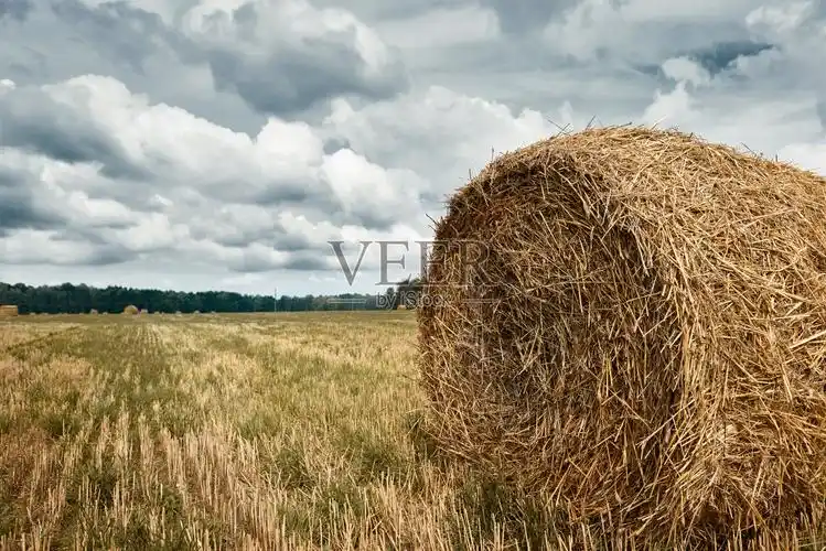 草垛在夏日的田野里景色优美照片摄影图片